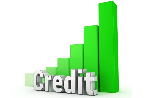 build your credit score